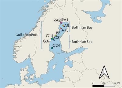 Association between Legionella species and humic substances during early summer in the northern Baltic Sea